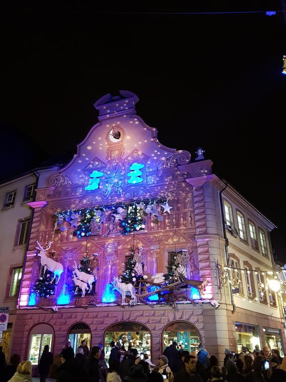 Apartament Au Petit Paradis - Strasbourg Sud Illkirch-Graffenstaden Zewnętrze zdjęcie