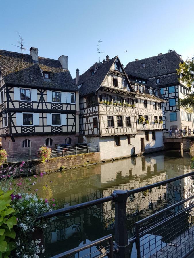 Apartament Au Petit Paradis - Strasbourg Sud Illkirch-Graffenstaden Zewnętrze zdjęcie